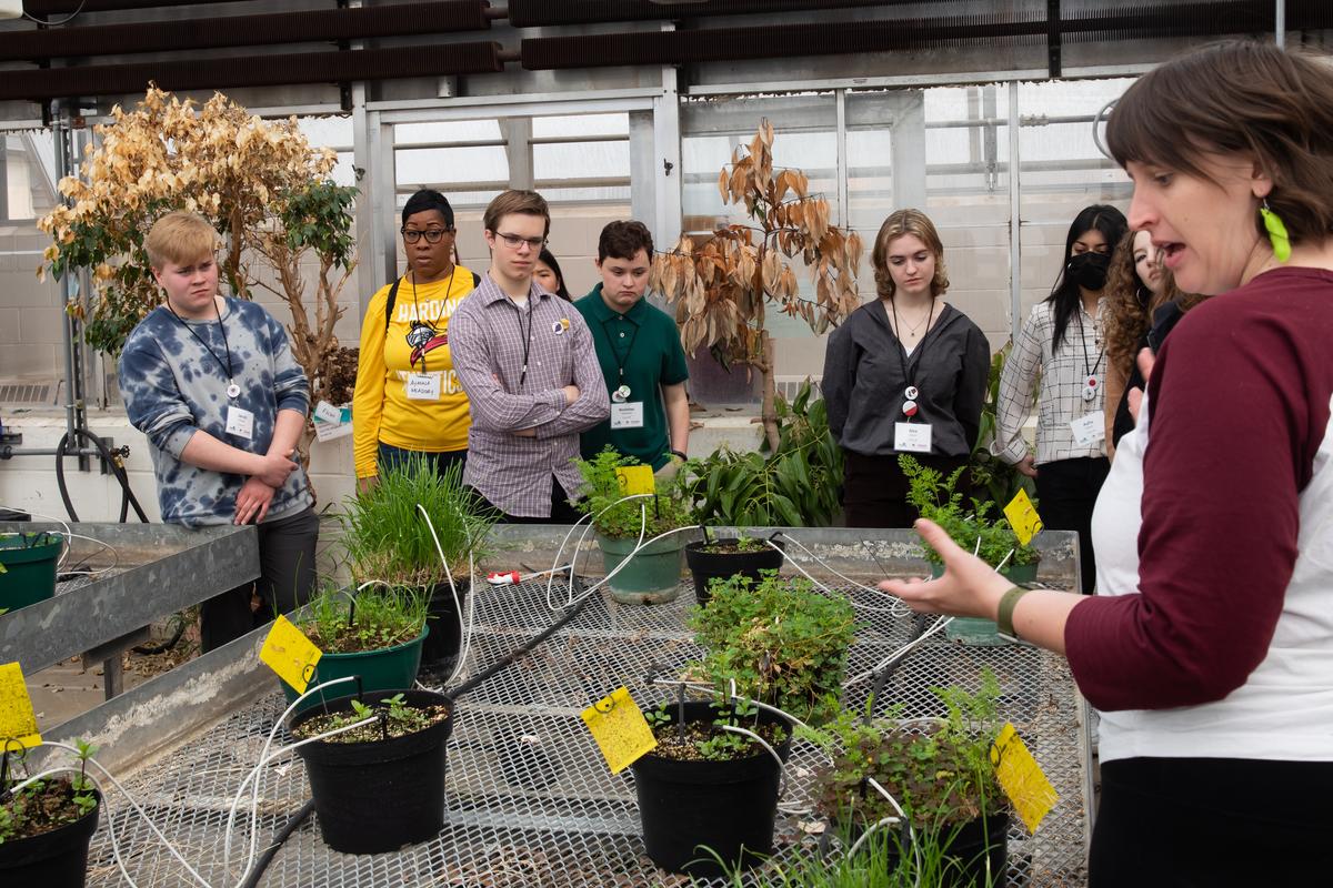 Students in a greenhouse observing plants during a plant pathology immersion